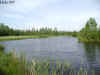 hole07-06052000.JPG (82264 bytes)